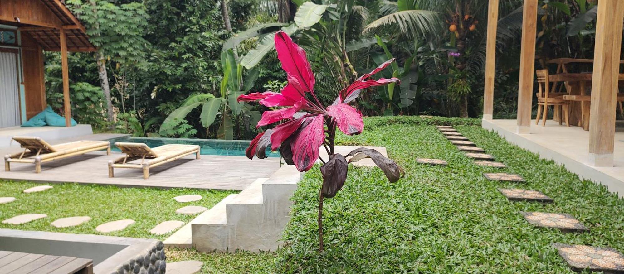 Rumah Guci Ubud  Luaran gambar