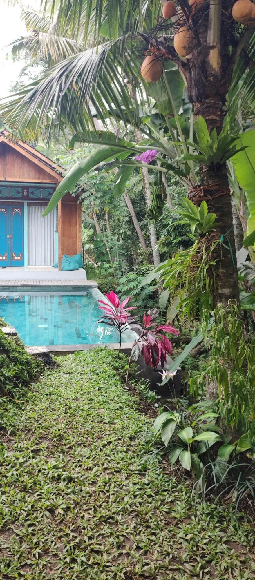 Rumah Guci Ubud  Luaran gambar