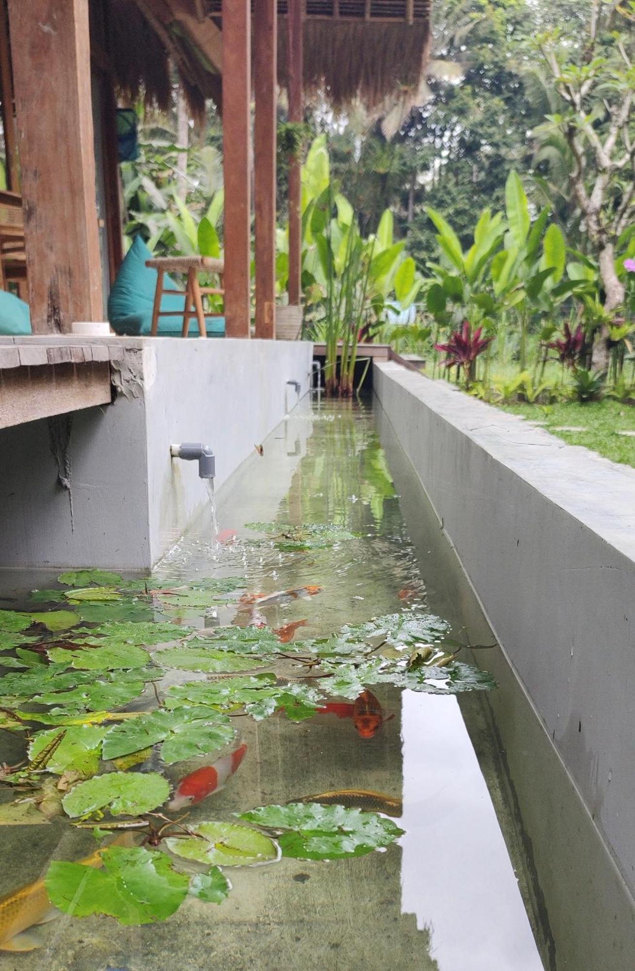 Rumah Guci Ubud  Luaran gambar